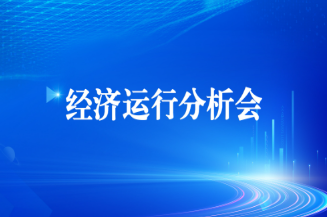 九游老哥俱乐部登录集团召开2025年上半年经济运行分析会