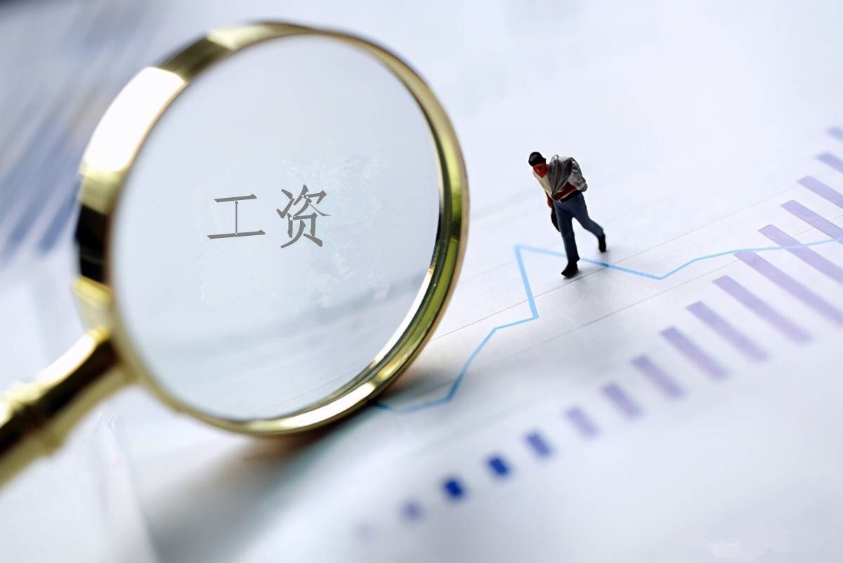 2022年度九游老哥·(中国)俱乐部官方网站
工资总额信息披露